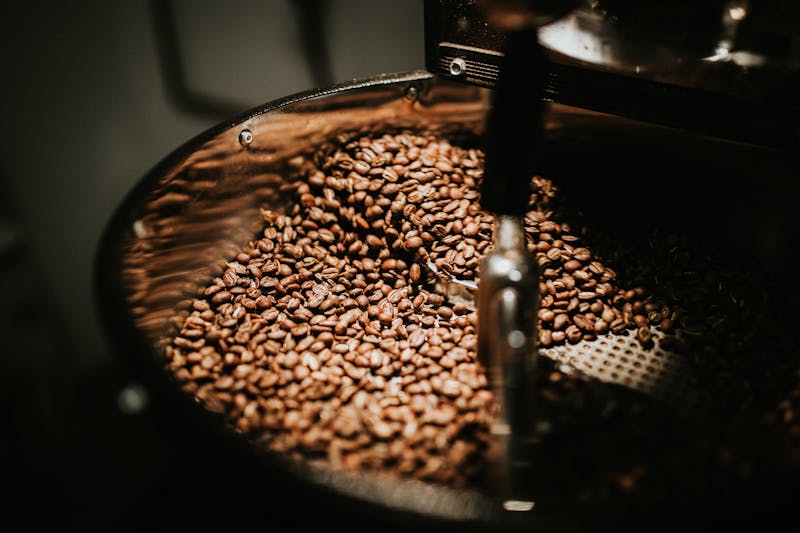 روبوستا چری